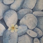 Title: Serenity Medium: Acrylic on stretched canvas Size: 33cmx33cm Price: $95.00 plus delivery The single Frangipani Blossom on white pebbles implies Serenity 
